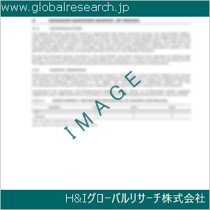 グローバルリサーチ調査資料のイメージ